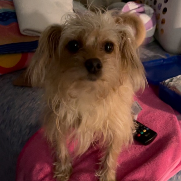 PRICES HAVE DROPPED, MAKE AN OFFER AND I WILL EITHER ACCEPT OR COUNTER - Picture 4 of 5